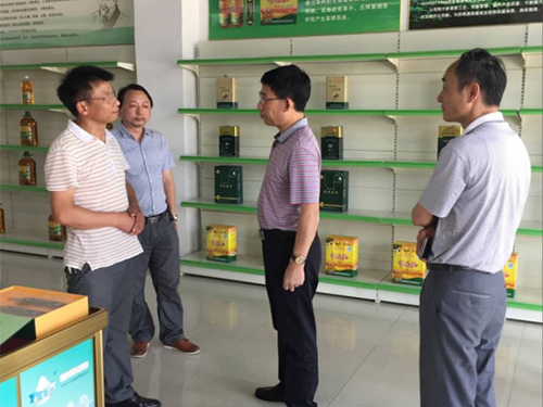 ng电子游戏,油茶种植出产加工销售,植物油种植出产加工销售