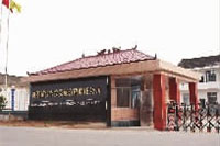 ng电子游戏,油茶种植出产加工销售,植物油种植出产加工销售