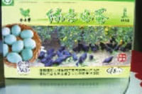 ng电子游戏,油茶种植出产加工销售,植物油种植出产加工销售