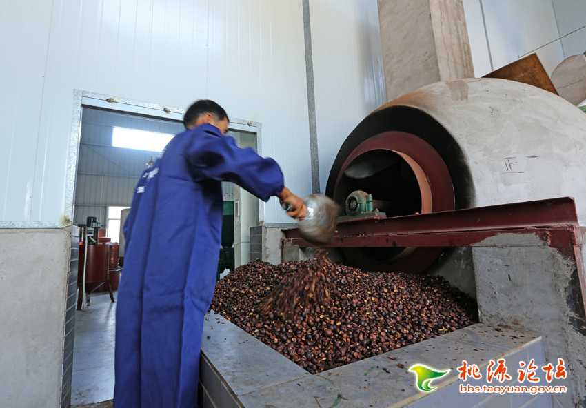 ng电子游戏,油茶种植出产加工销售,植物油种植出产加工销售