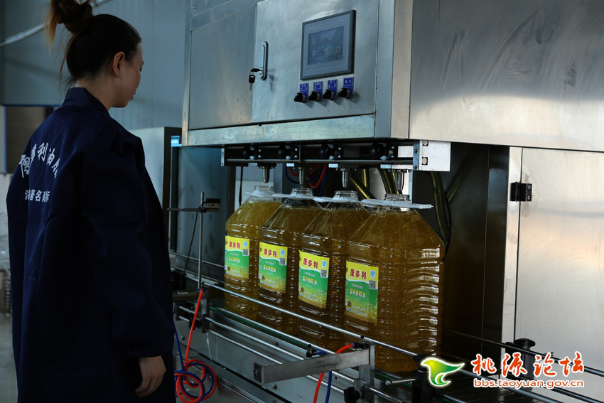 ng电子游戏,油茶种植出产加工销售,植物油种植出产加工销售