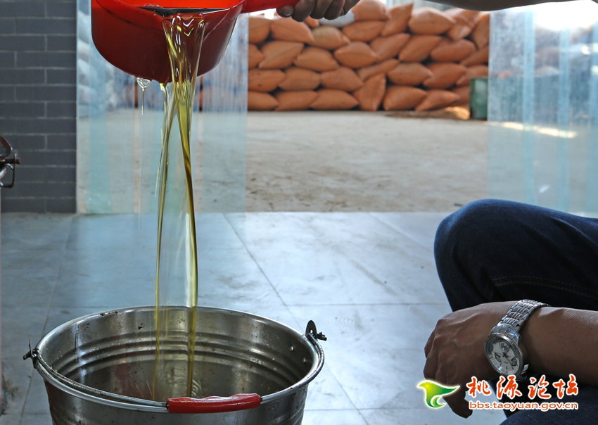 ng电子游戏,油茶种植出产加工销售,植物油种植出产加工销售