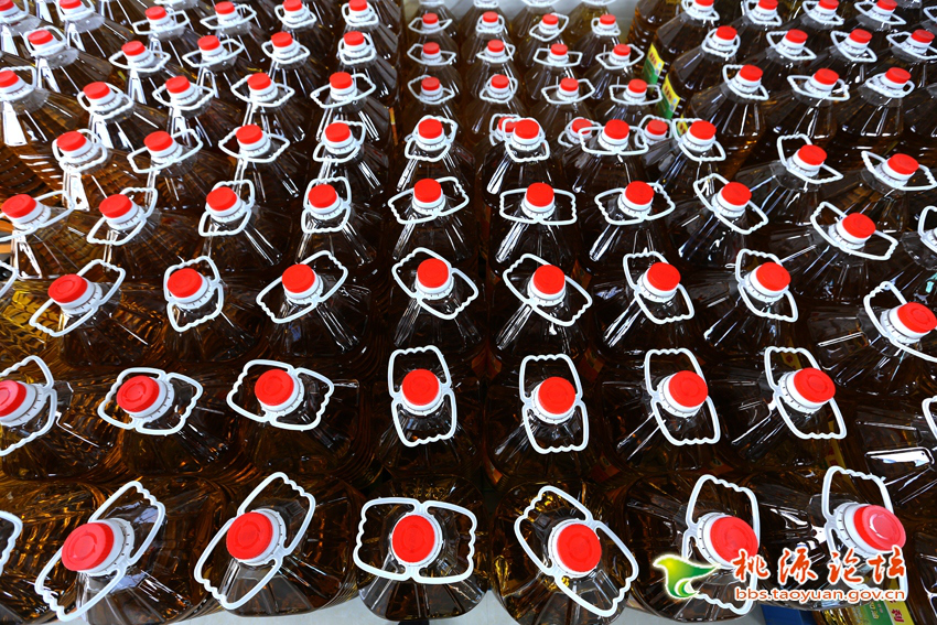 ng电子游戏,油茶种植出产加工销售,植物油种植出产加工销售