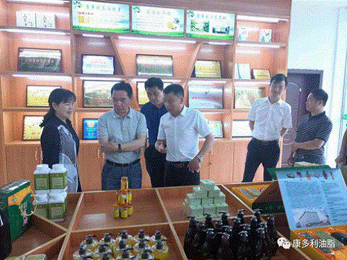 ng电子游戏,油茶种植出产加工销售,植物油种植出产加工销售