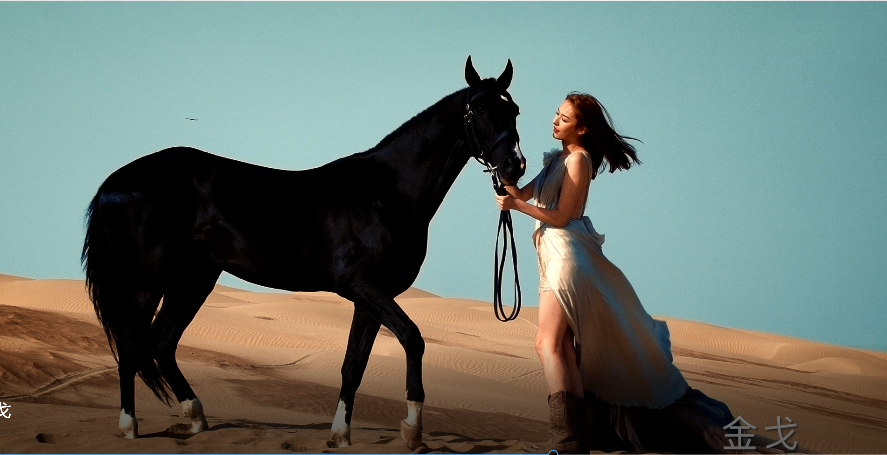 尊龙凯时人生就搏官网登录金戈